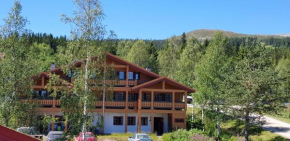 Solbjørnlia Apartments Trysil